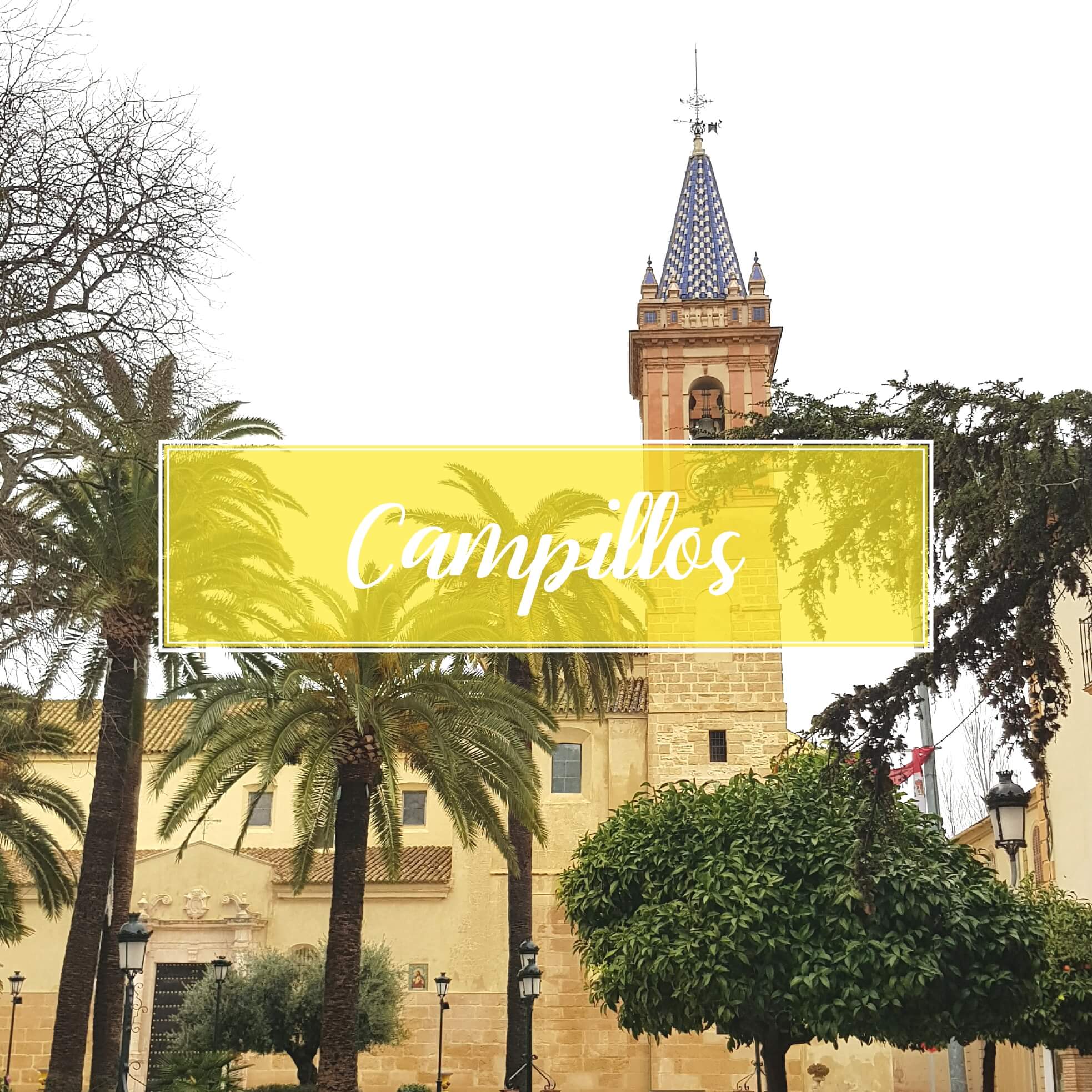 Campillos Town Malaga