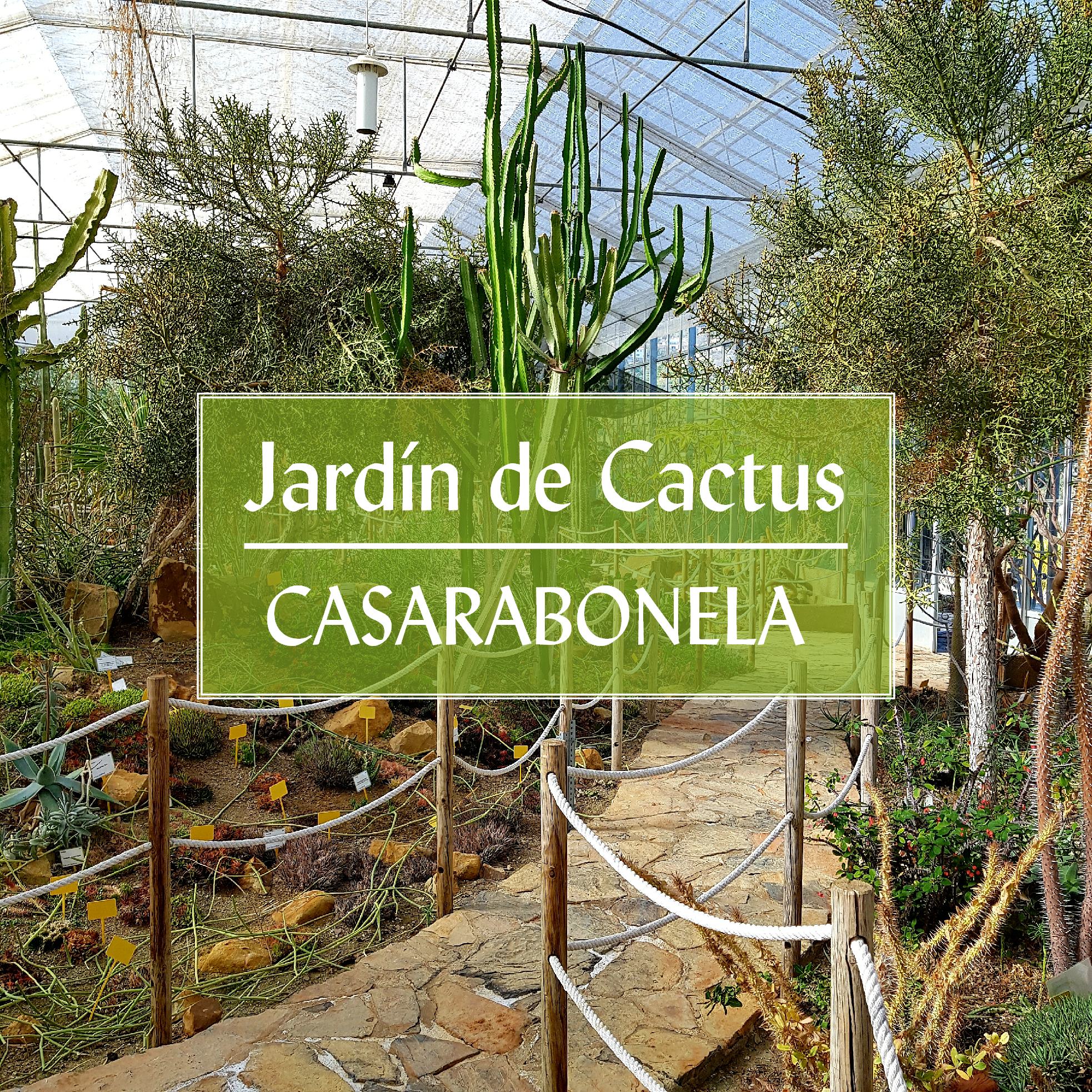 Jardin Botanico de Cactus Casarabonela Malaga