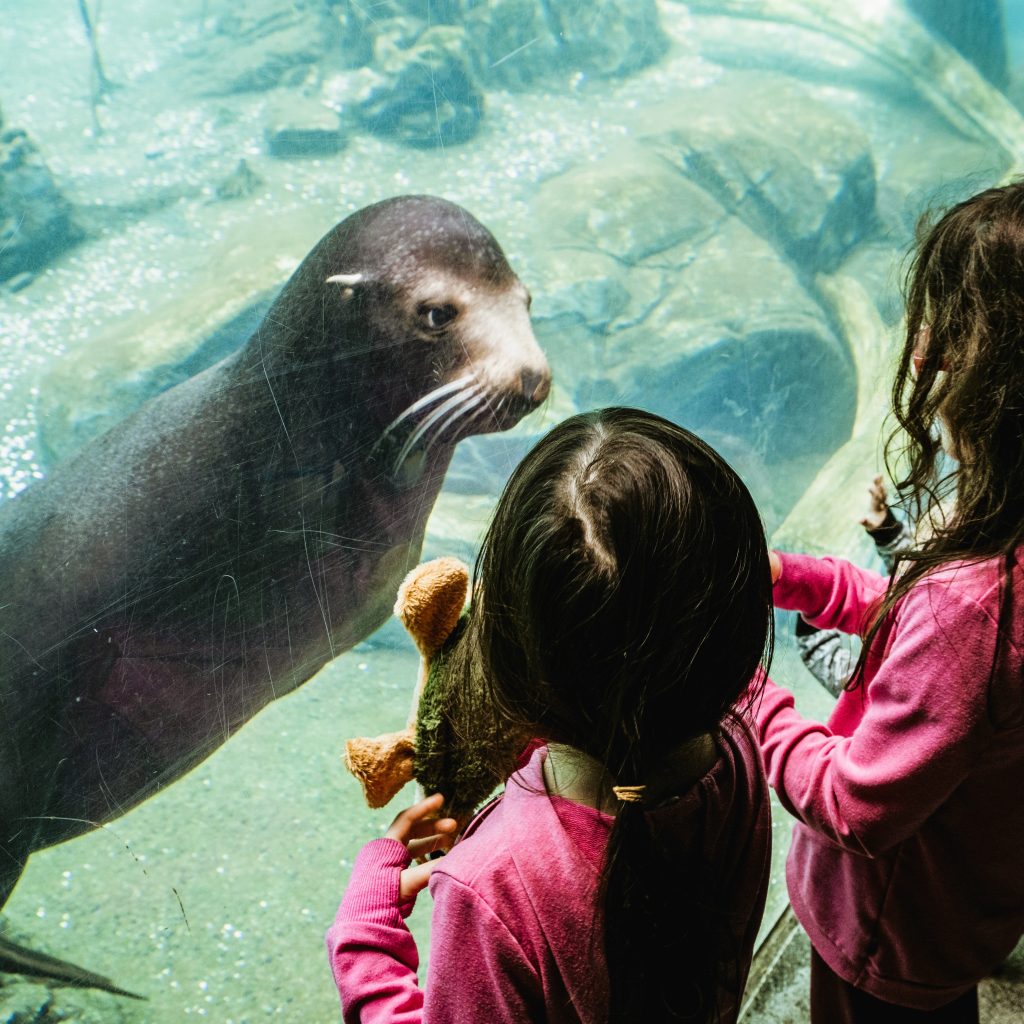 Dierenpark voor kinderen in Malaga