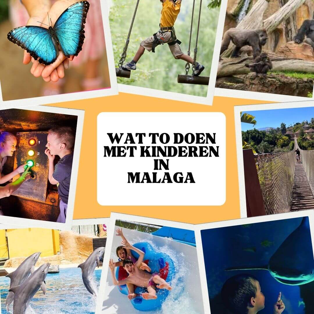 Wat te doen met Kinderen in Malaga