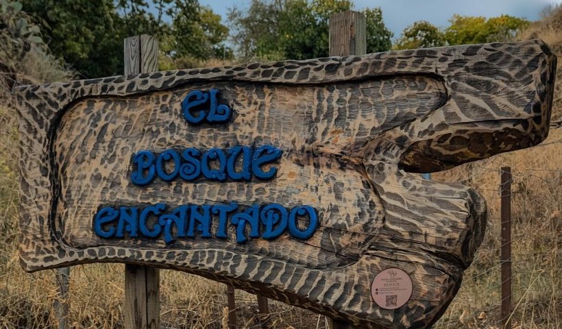 Ruta El Bosque Encantado Parauta Malaga